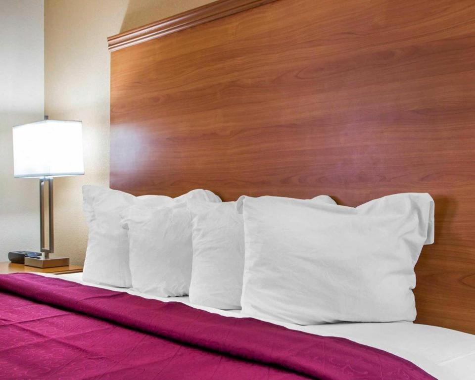 Quality Inn Ottawa Near Starved Rock State Park Dış mekan fotoğraf