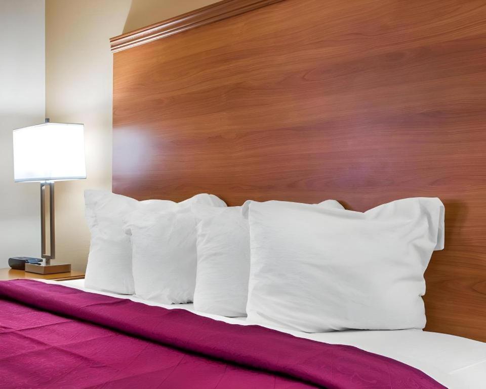 Quality Inn Ottawa Near Starved Rock State Park Dış mekan fotoğraf